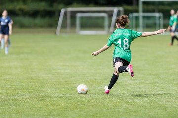 Bild 286 - F VfL Pinneberg - GW Eimsbuettel4 : Ergebnis: 9:0